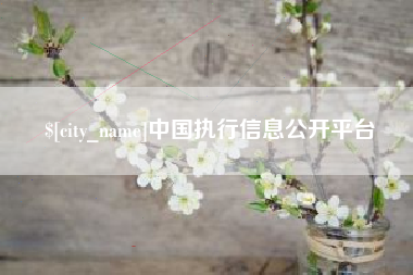 渠县中国执行信息公开平台