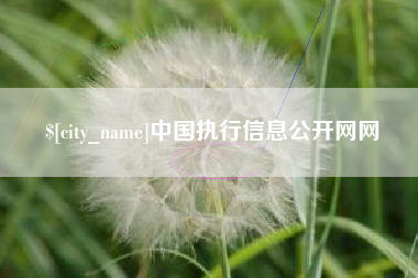 渠县中国执行信息公开网网