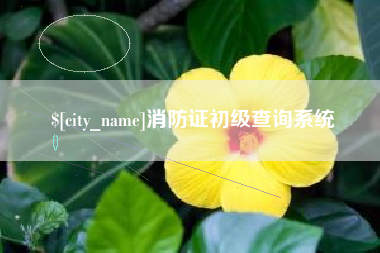 渠县消防证初级查询系统