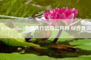 渠县中国执行信息公开网 综合查询