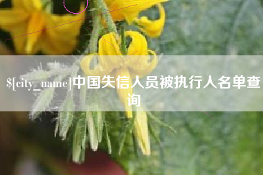 渠县中国失信人员被执行人名单查询