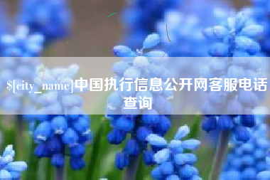 渠县中国执行信息公开网客服电话查询