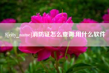 渠县消防证怎么查询,用什么软件