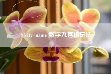 渠县数字九宫格玩法