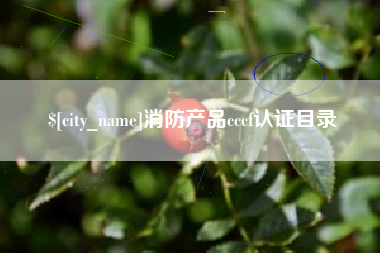 渠县消防产品cccf认证目录