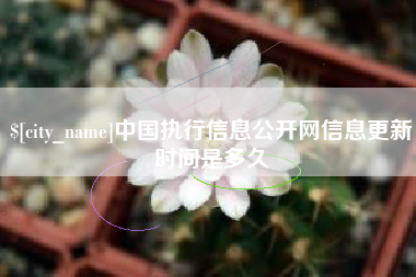 渠县中国执行信息公开网信息更新时间是多久