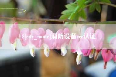 渠县消防设备ccc认证