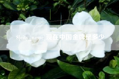 渠县现在中国金牌是多少