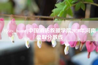 渠县中国消防救援学院2020年河南录取分数线