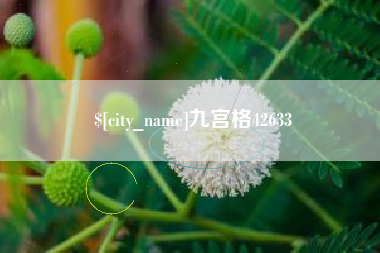 渠县九宫格42633