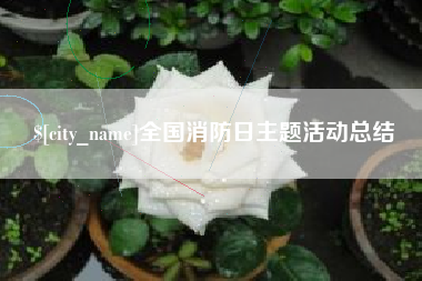 渠县全国消防日主题活动总结