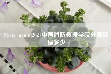 渠县2021中国消防救援学院分数线是多少