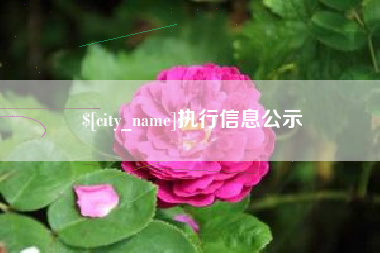 渠县执行信息公示
