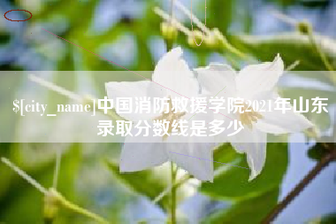 渠县中国消防救援学院2021年山东录取分数线是多少