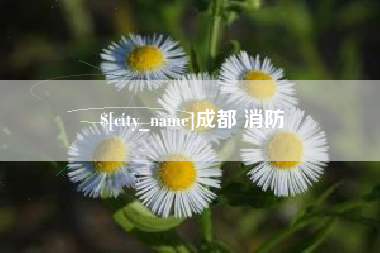 渠县成都 消防