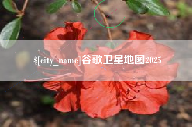 渠县谷歌卫星地图2025