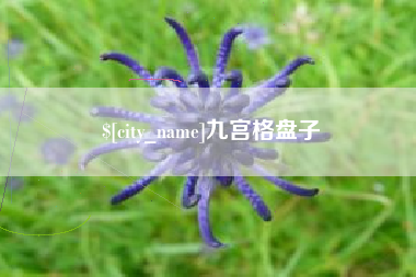 渠县九宫格盘子