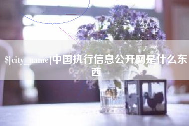 渠县中国执行信息公开网是什么东西