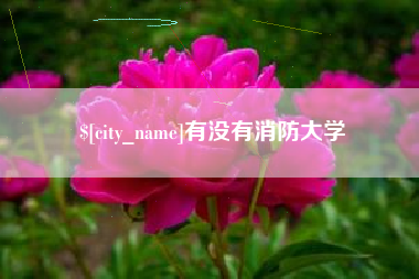 渠县有没有消防大学