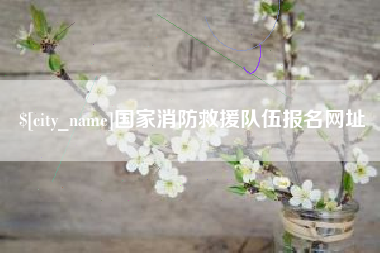 渠县国家消防救援队伍报名网址