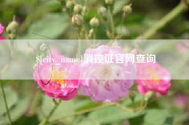 渠县消控证官网查询