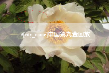 渠县中国第九金回放