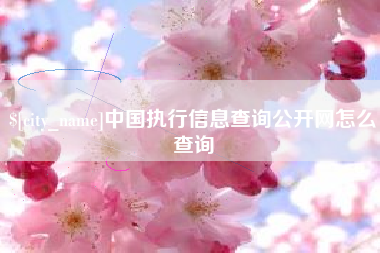 渠县中国执行信息查询公开网怎么查询