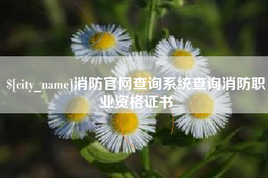 渠县消防官网查询系统查询消防职业资格证书
