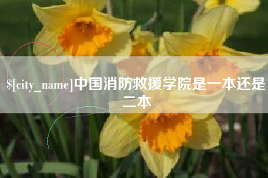 渠县中国消防救援学院是一本还是二本