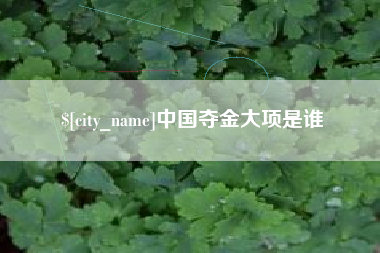 渠县中国夺金大项是谁