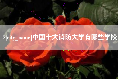 渠县中国十大消防大学有哪些学校