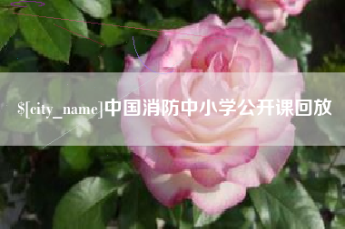 渠县中国消防中小学公开课回放