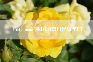 渠县我国消防日是每年的