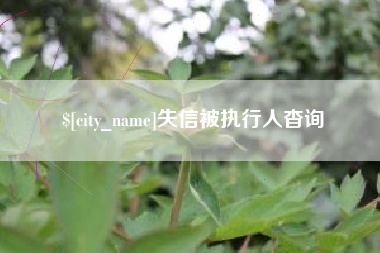 渠县失信被执行人杳询