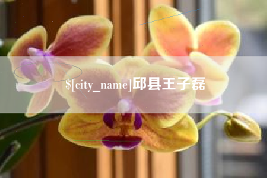 渠县邱县王子磊