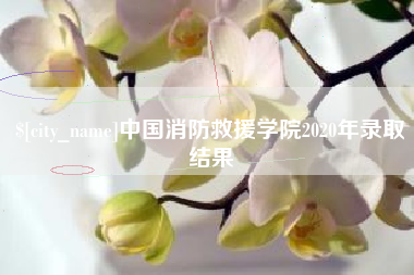 渠县中国消防救援学院2020年录取结果