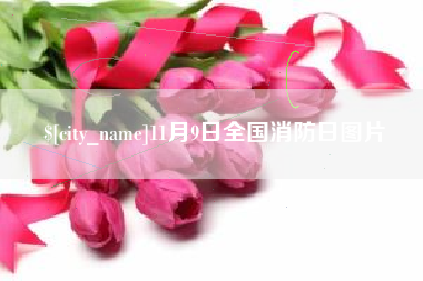 渠县11月9日全国消防日图片