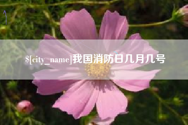 渠县我国消防日几月几号