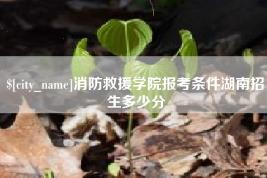 渠县消防救援学院报考条件湖南招生多少分