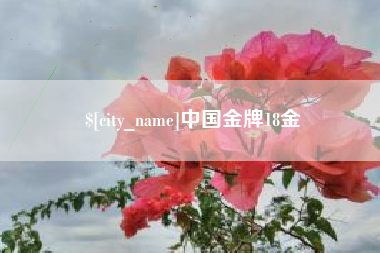 渠县中国金牌18金