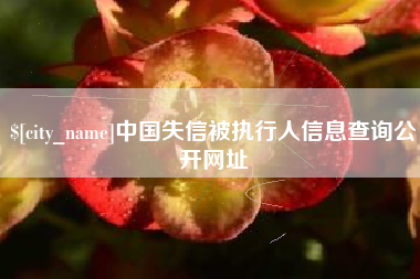 渠县中国失信被执行人信息查询公开网址