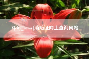 渠县消防证网上查询网站