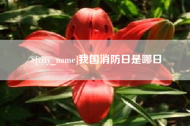 渠县我国消防日是哪日
