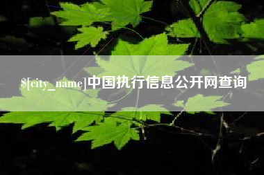 渠县中国执行信息公开网查询