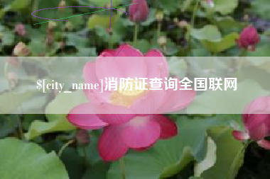 渠县消防证查询全国联网