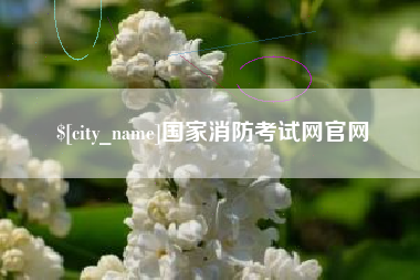 渠县国家消防考试网官网