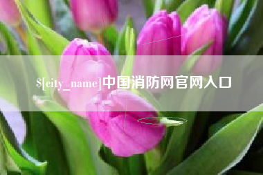 渠县中国消防网官网入口