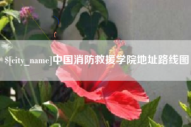 渠县中国消防救援学院地址路线图