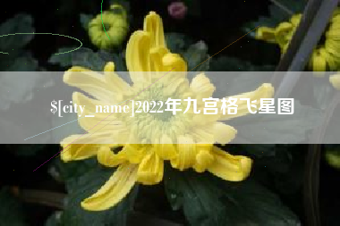 渠县2022年九宫格飞星图