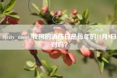 渠县我国的消防日是每年的11月9日对吗？